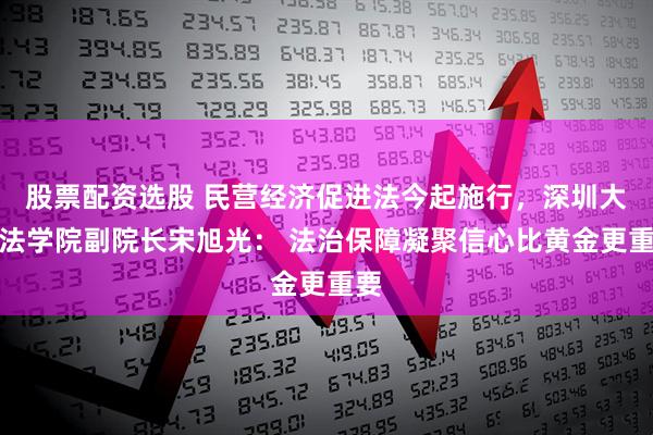 股票配资选股 民营经济促进法今起施行,深圳大学法学院副院长宋旭光: 法治保障凝聚信心比黄金更重要