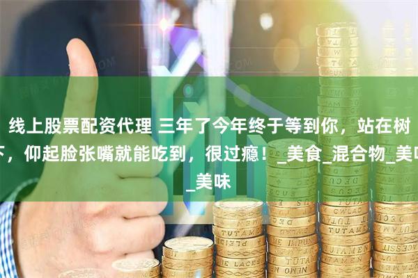 线上股票配资代理 三年了今年终于等到你，站在树下，仰起脸张嘴就能吃到，很过瘾！_美食_混合物_美味